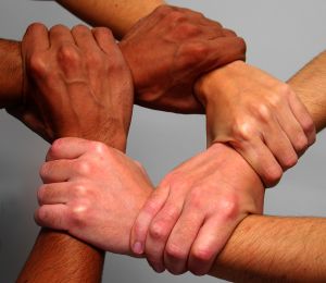 Nonprofit: Diverse Hands United to Form a Circle